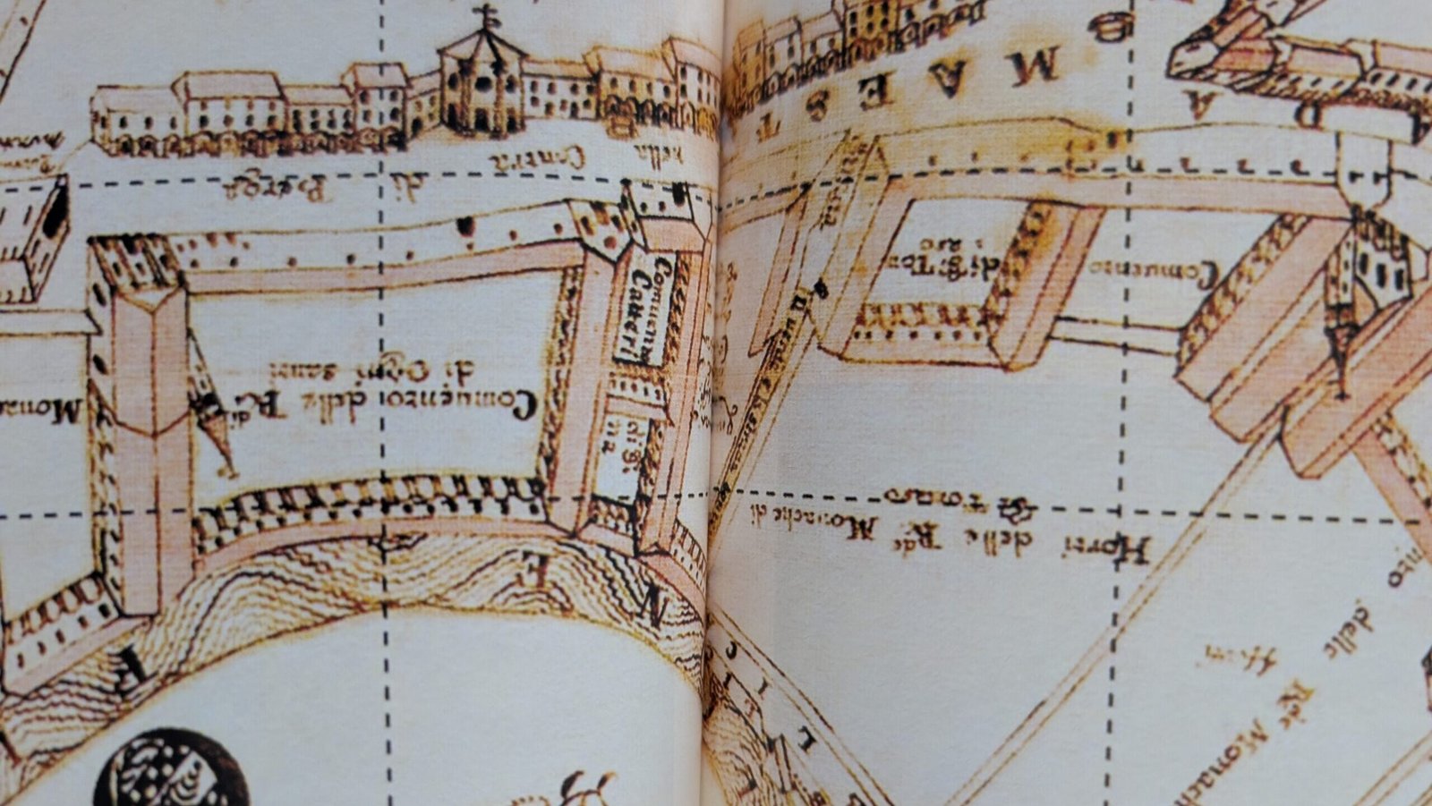 vincenza_pasini_vicenza